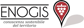 Enogis Logo