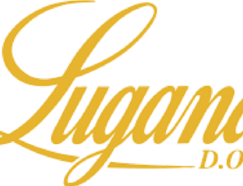 Il Consorzio di tutela Lugana Doc si affida a Enogis