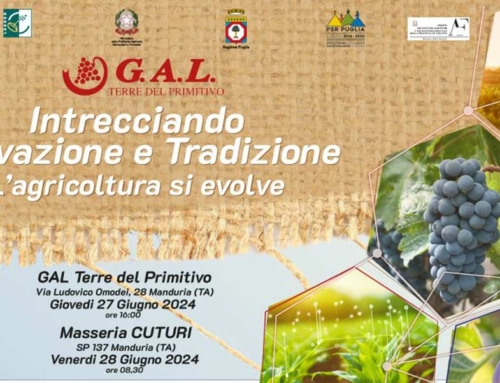 Parlare di viticoltura digitale nelle terre del Primitivo